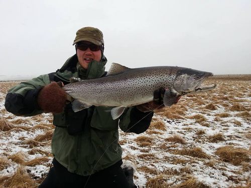 97cm Sea trout from the River Húseyjarkvísl sea trout Huseyjarkvísl