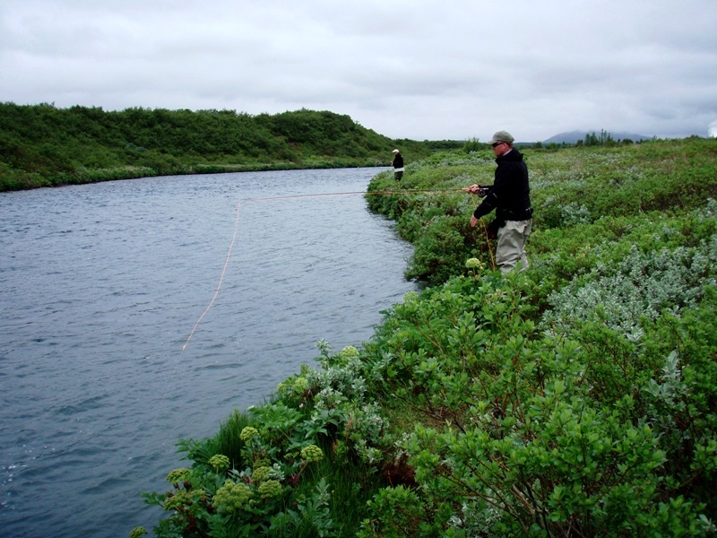 River Brúará, arctic Char, Iceland