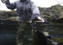 Lake Thingvellir,trout fishing in Iceland