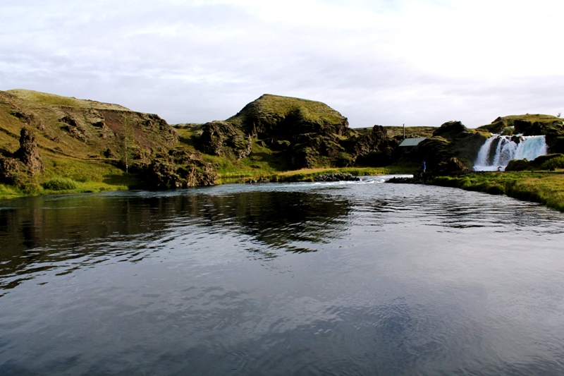 Tungulækur, Sea trout-Iceland