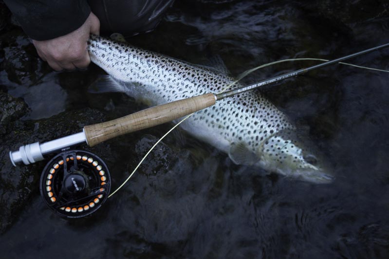 trout, fishing,Iceland, Fly fishing