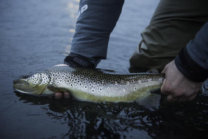 River Varmá-fishing in Iceland-fishing-angling-trout