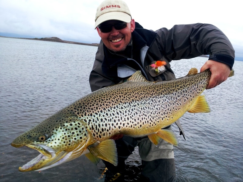 Lale Thingvellir, trout,monster trout in Iceland, ION Fishing, Lake thingvellir, Iceland, fishing, Fly fishing, brown trout, trout, Monster trout