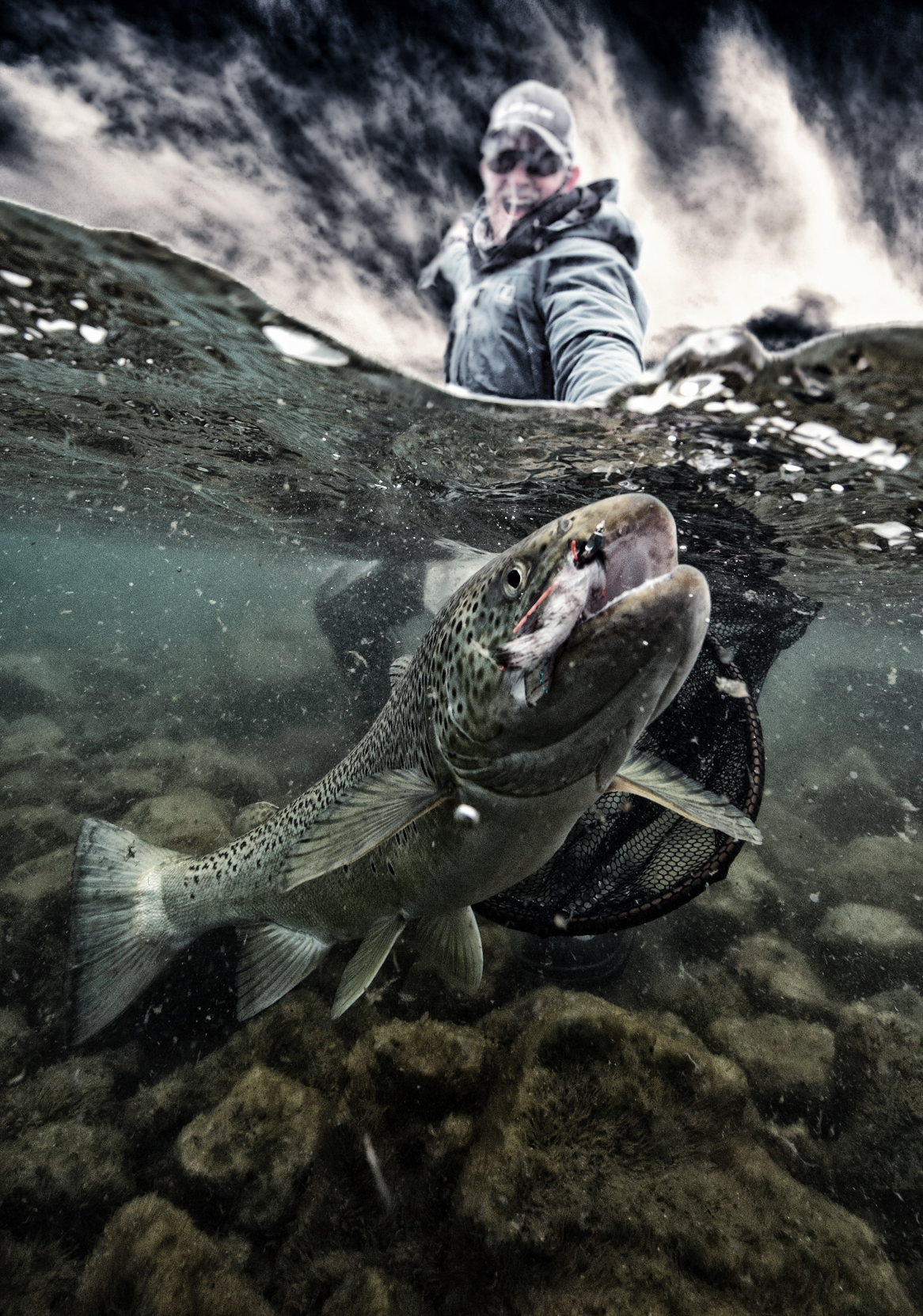 Thingvellir, Iceland, Trout, fishing in iceland