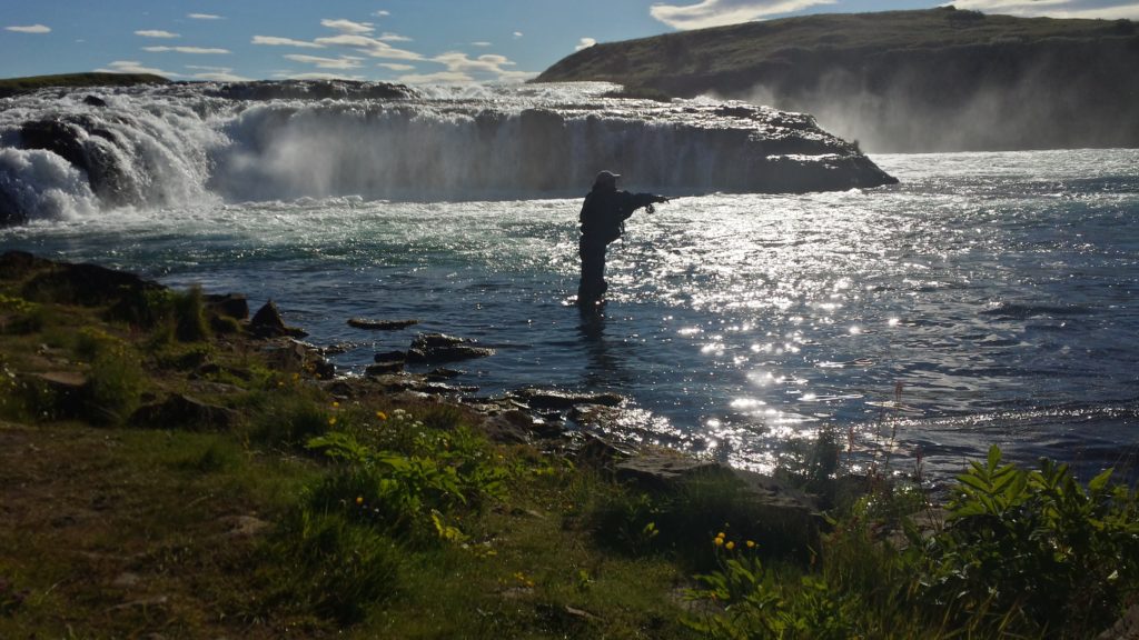 Salmon-Iceland-fly fishingöangling-west ranga