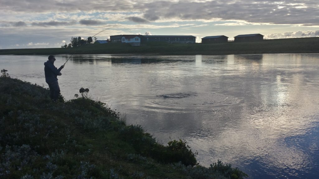 Salmon fishing, West Ranga,Iceland, Fly fishing