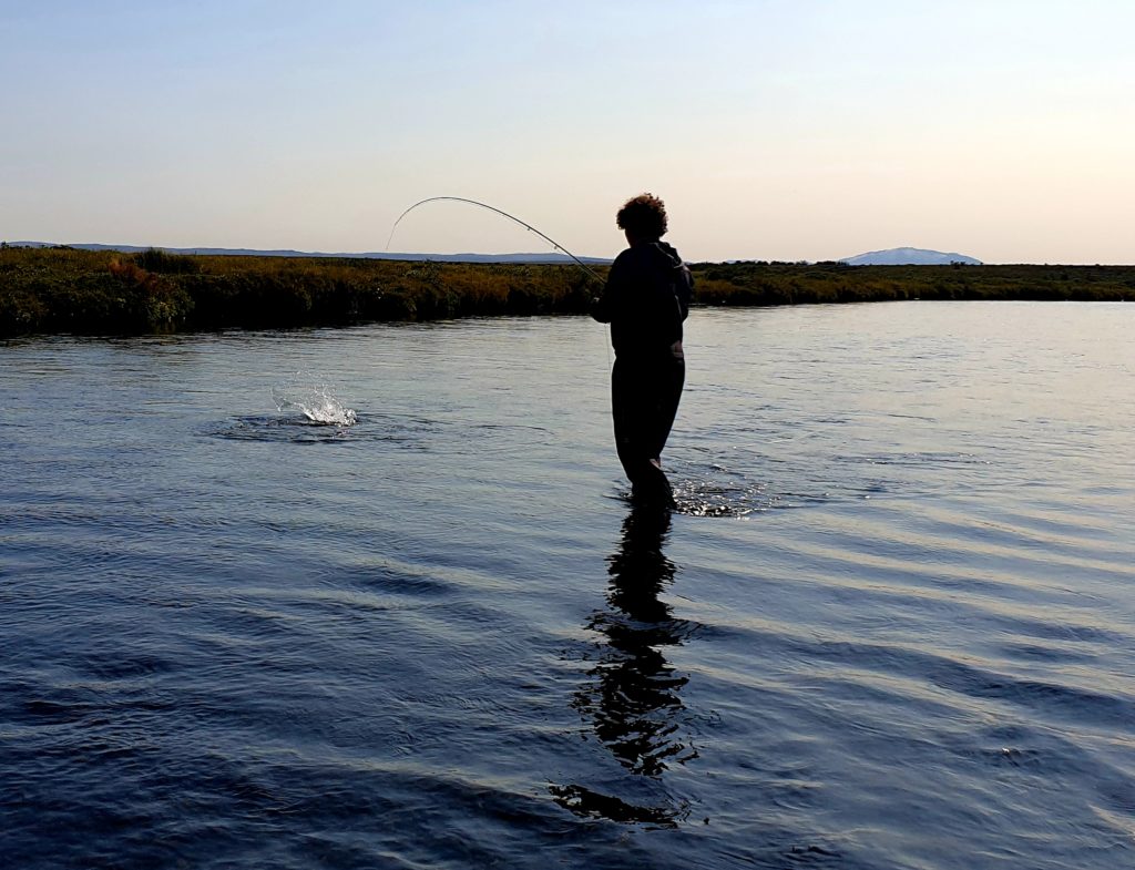 River Hólaá. Arctic Char, trout, fishing,fly fishing, Iceland,