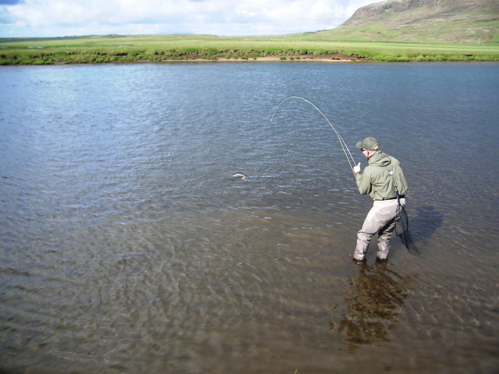 River Bruará, fishing in Iceland, trout, char