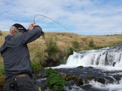 Truot fishing in Iceland