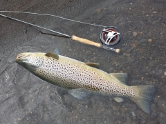 Fishing in Iceland