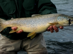 Fishing in Iceland