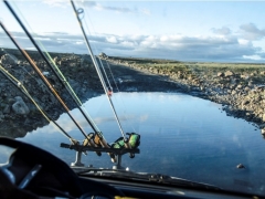 Trout Fishing in Iceland, highlands