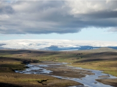 Trout Fishing in Iceland