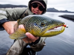 Brown trout fishing in iceland, highlands