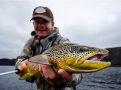 Trout Fishing in Iceland