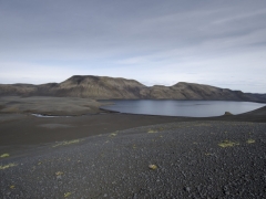 Trout Fishing in Iceland, highlands