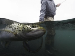 Fishing in Iceland