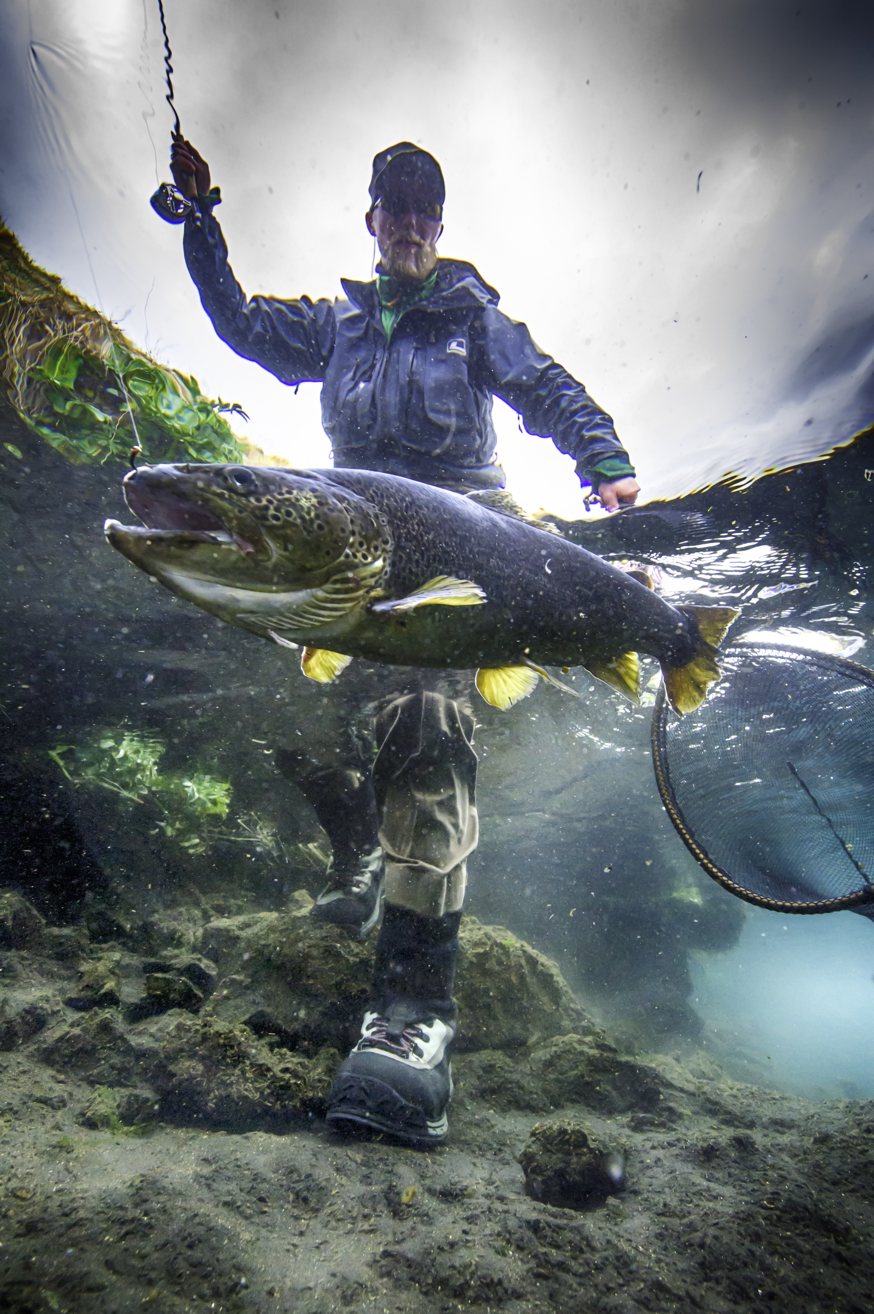 Trout fishing in Iceland