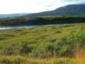 bruara-bruara-Fishing in Iceland, River Bruara-Arctic Char