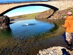 River-Haukadalsá-salmon-fishing-in-Iceland-4