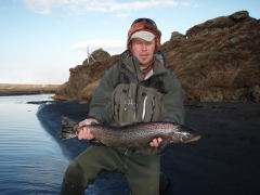 Sea Trout fishing in Iceland