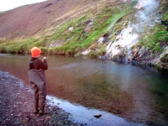 Sea Trout fishing in Iceland