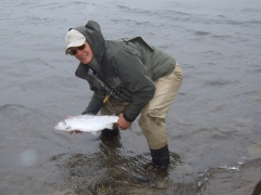 Sea Trout fishing in Iceland