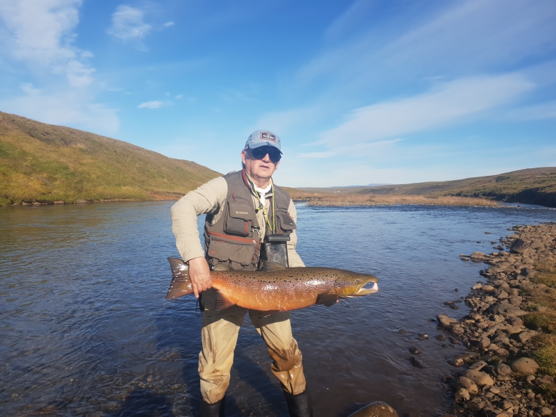 Nice-trophy-salmon-in-Iceland-1