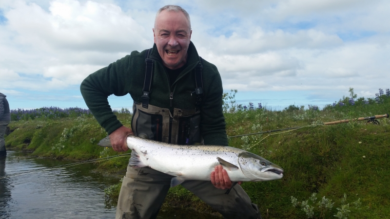 Nice-trophy-salmon-in-Iceland-3