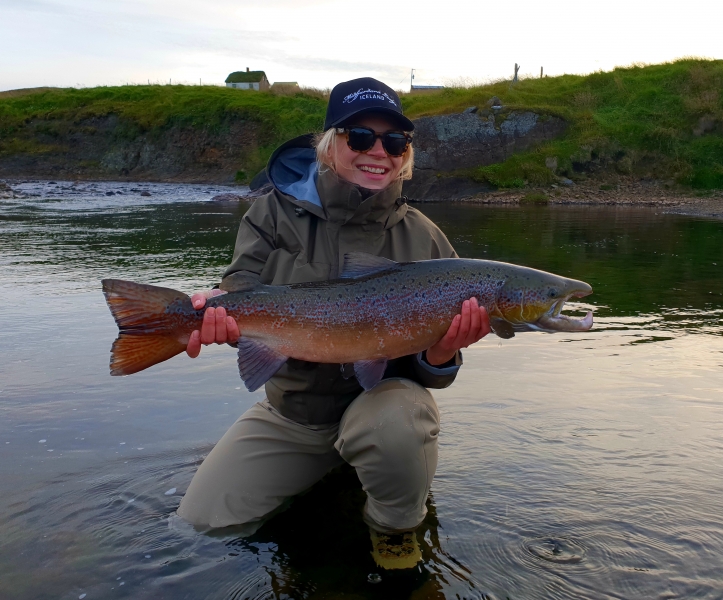 Nice-trophy-salmon-in-Iceland-8