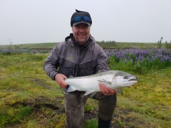 Nice-trophy-salmon-in-Iceland-7