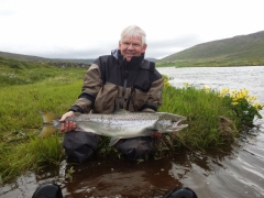 Spring salmon From Laugardalsá