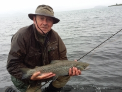 trout from Lake Thingvellir