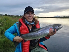 Salmon From West Ranga