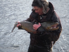 Iceland monster trout