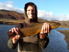 River Fossá, trout