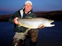 Sea Trout-iceland-river Varma