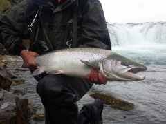 West Ranga salmon fishing