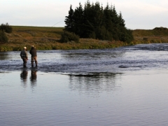 West Ranga, home pool