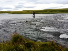 West Ranga salmon fishing