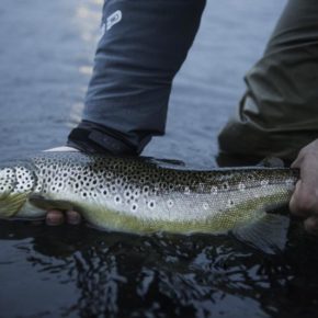 River Litlaa hosts Brown trout, sea trout and Arctic Char. In the spring and the autumn is The sea trout fishing prime time. The Brown trout is year all around. The size is good in the Litlaa River and keen angler can expect to catch good number of trout in the week