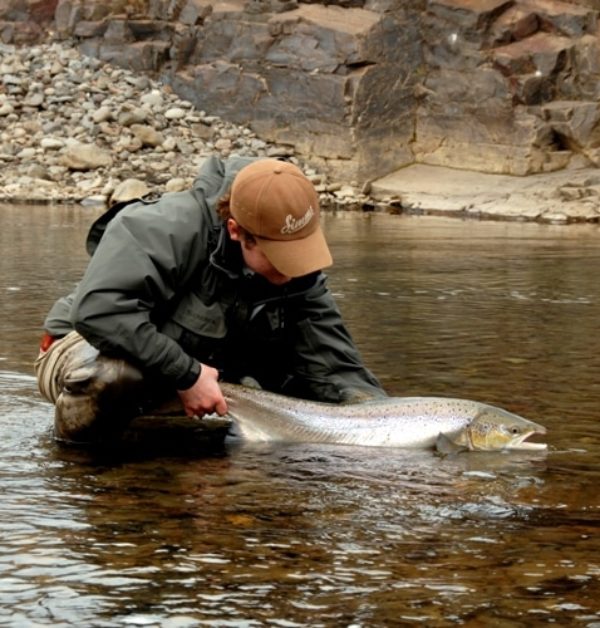 Salmon, Iceland, fly fishing, angling