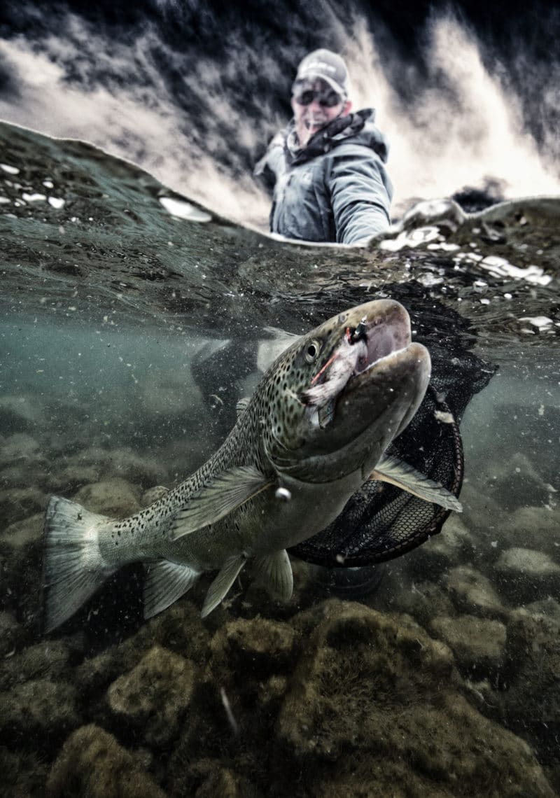 Trout fishing in iceland- Brown trout, sea trout fsihing in Iceland