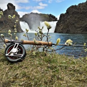 River Fossá-trout beat offers you to  fish for Brown trout and Arctic Char.  Háifoss at the top of fossa-trout-Icelandthe trout beat is the second highest waterfall in Iceland 122 meter and no words can describe how its feel to fish the waterfall pool. Foss is the Icelandic word for waterfall