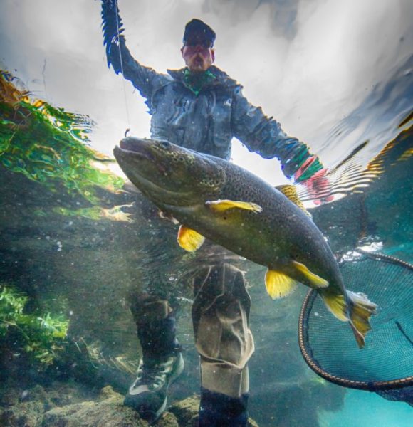 Iceland-Trout-Fishing,Angling-brown trout